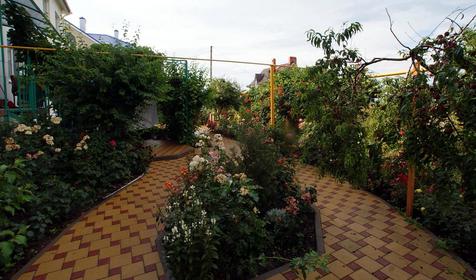 Территория, гостевой дом Звезда Байкала, г. Анапа, п. Витязево