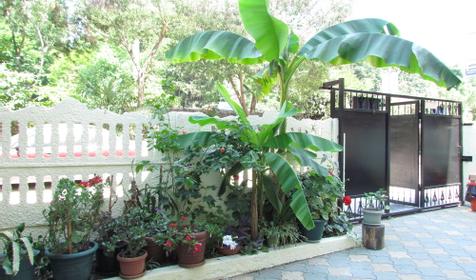 Гостевой дом Золотая рыбка, г. Сочи