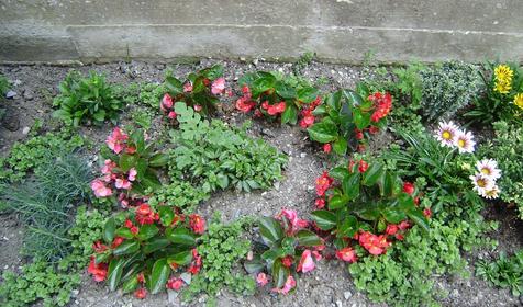 Гостевой дом Apple (Яблоко), Геленджик, Тонкий мыс