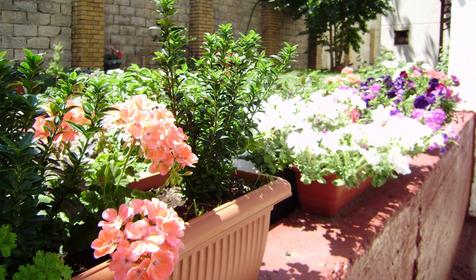 Гостевой дом Apple (Яблоко), Геленджик, Тонкий мыс