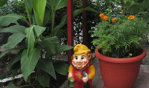 Во дворе. Гостевой дом Аквамарин, г. Геленджик