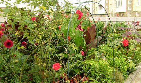 Территория. Отдых с любовью, Туапсинский район, п. Новомихайловский