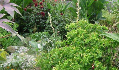 Территория. Отдых с любовью, Туапсинский район, п. Новомихайловский