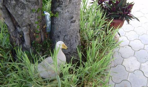 Территория. Отдых с любовью, Туапсинский район, п. Новомихайловский