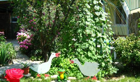 Территория. Гостиница Солнечная, Туапсинский район, п. Новомихайловский