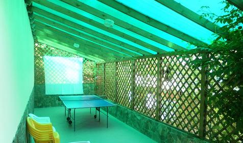 Теннисный стол. Мини-отель Золотая рыбка. Сочи, п. Магри