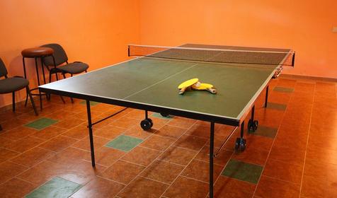 Теннисный стол отеля ЛеЛюкс, Туапсинский район, с. Ольгинка