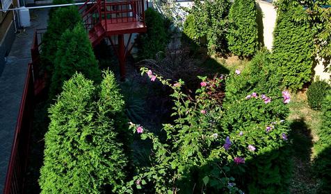 Вид из окна гостевого дома Анастасия, г. Анапа, п. Витязево