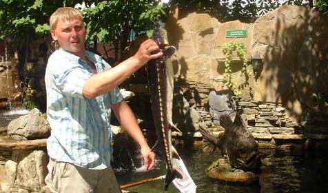 Бассейн с родниковой водой. Гостевой двор Ачишхо, г. Сочи, п. Красная Поляна