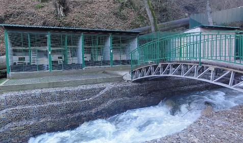 Вольерный комплекс. Гостевой двор Ачишхо, г. Сочи, п. Красная Поляна