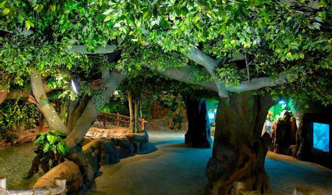 Океанариум Sochi Discovery World Aquarium, г. Сочи