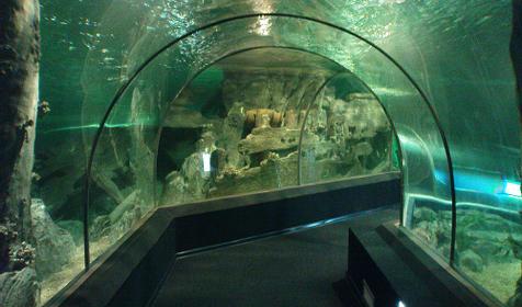 Океанариум Sochi Discovery World Aquarium, г. Сочи