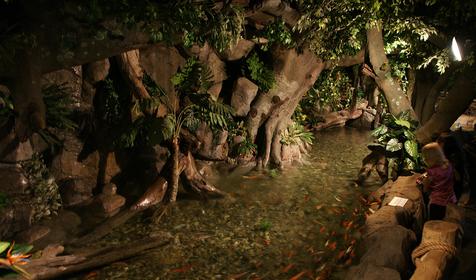 Океанариум Sochi Discovery World Aquarium, г. Сочи