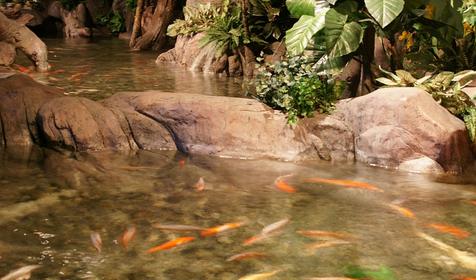 Океанариум Sochi Discovery World Aquarium, г. Сочи