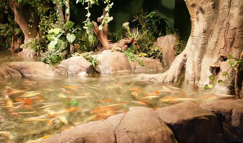 Океанариум Sochi Discovery World Aquarium, г. Сочи