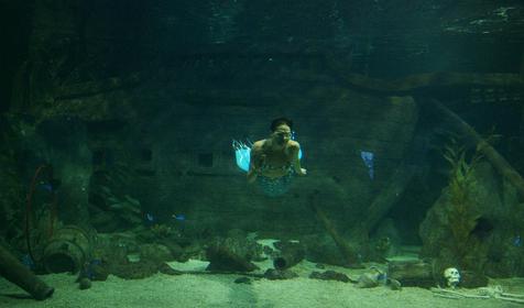 Океанариум Sochi Discovery World Aquarium, г. Сочи