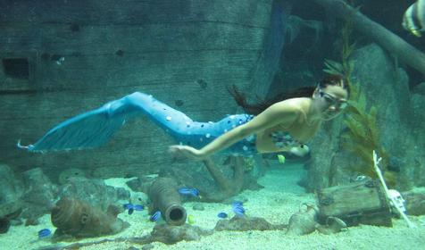 Океанариум Sochi Discovery World Aquarium, г. Сочи