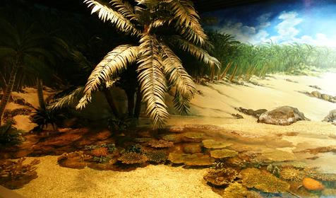 Океанариум Sochi Discovery World Aquarium, г. Сочи