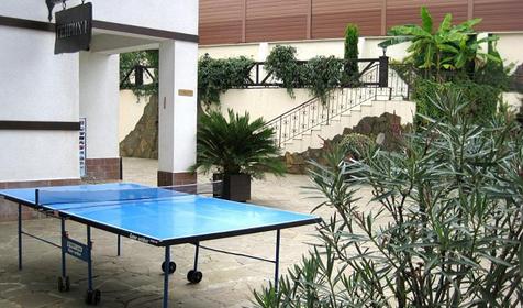 Теннисный стол. Отель Генрих, г. Сочи, Лазаревский район, п. Дагомыс