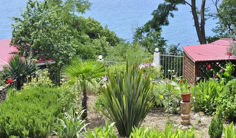 Территория. Гостиница ВатерЛоо, г. Сочи, Лазаревский район, п. Лоо