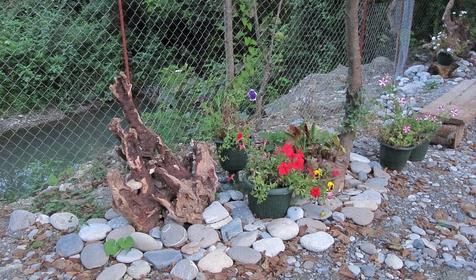 Территория. Гостевой дом Алеандр, г. Сочи, Лазаревский район, п. Лоо