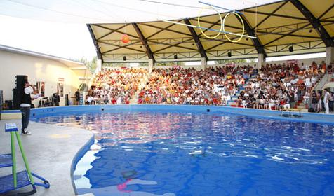 Морской комплекс Анапский Дельфинарий, г. Анапа