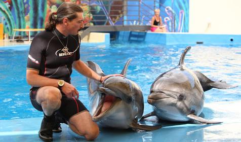 Дельфинарий Немо