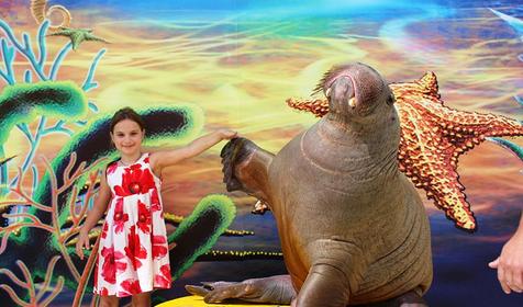 Морской комплекс Анапский Дельфинарий, г. Анапа