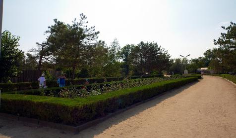 Территория. Пансионат Одиссея, г. Анапа