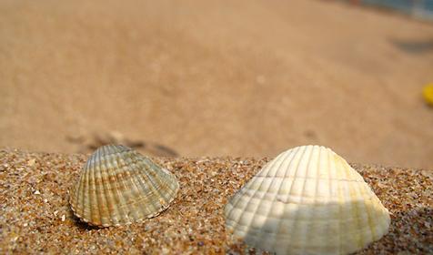 Пляж, гостевой дом Азовочка, пос. Кучугуры, г. Темрюк