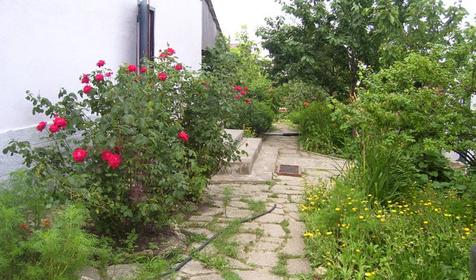 Двор частного пансионата Цветочная-25, г. Темрюк, ст-ца Голубицкая