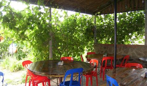 На террасе частного пансионата Цветочная-25, г. Темрюк, ст-ца Голубицкая