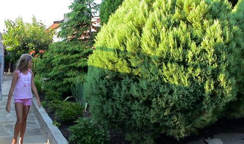 Гостевой дом Фем Ландия, г. Геленджик, с. Архипо-Осиповка