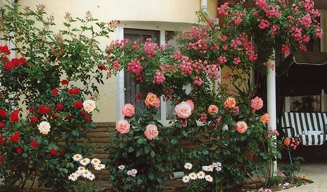 Гостиничный комплекс Галатея, г. Анапа, п. Джемете