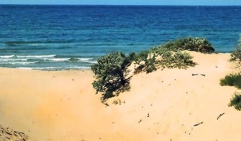 Дорога к морю. Гостиничный комплекс Галатея, г. Анапа, п. Джемете