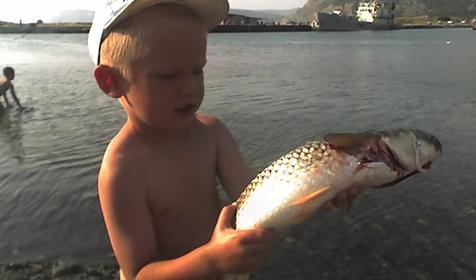 Рыбалка, гостиница Крафт-отель, г. Анапа