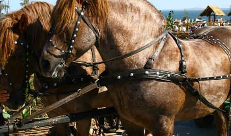 Этнографический комплекс Атамань, Темрюкский район, ст. Тамань