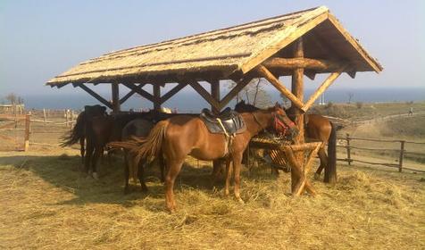 Этнографический комплекс Атамань, Темрюкский район, ст. Тамань