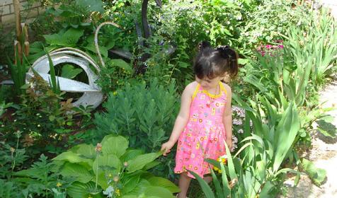 Территория. Гостевой дом Молдованочка, г. Анапа, ст. Благовещенская