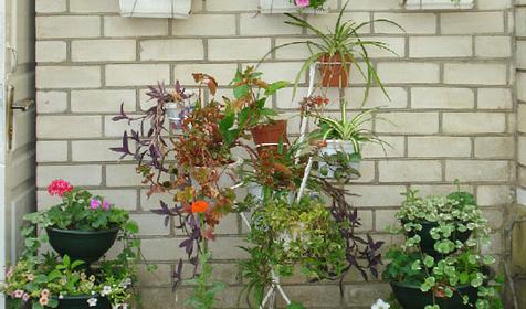 Гостевой дом Молдованочка, г. Анапа, ст. Благовещенская