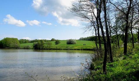 Рыболовный клуб Золотой Сазан, г. Горячий Ключ