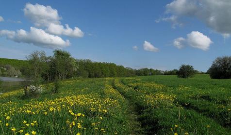 Рыболовный клуб Золотой Сазан, г. Горячий Ключ