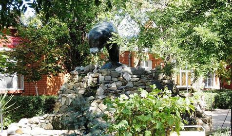 Территория. Пансионат Приазовье, г. Ейск