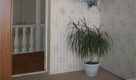 Номер Люкс. Мини-гостиница Руслан, г. Сочи, Адлерский район