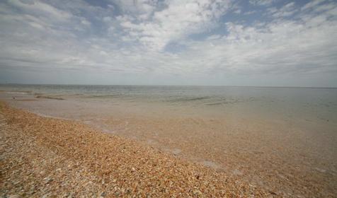 Пляж. База отдыха Южная пальмира, Темрюкский район, ст. Голубицкая