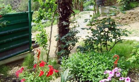 Частный дом Ангелина, г. Сочи, Адлер