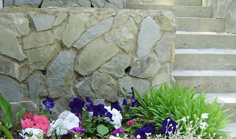 Мини-гостиница Сосны, г. Геленджик, х. Джанхот