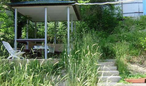 Беседка, мини-гостиница Сосны, г. Геленджик, х. Джанхот