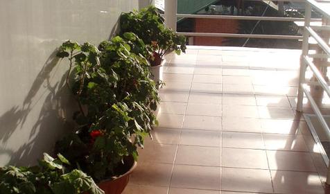 Гостиница Элефант, г. Сочи, Адлерский район