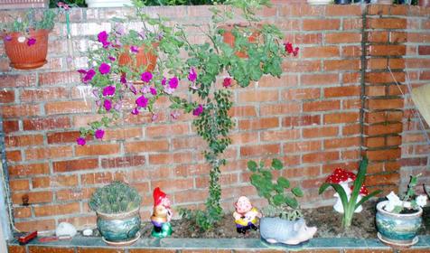 Гостиница Элефант, Адлерский район, Сочи